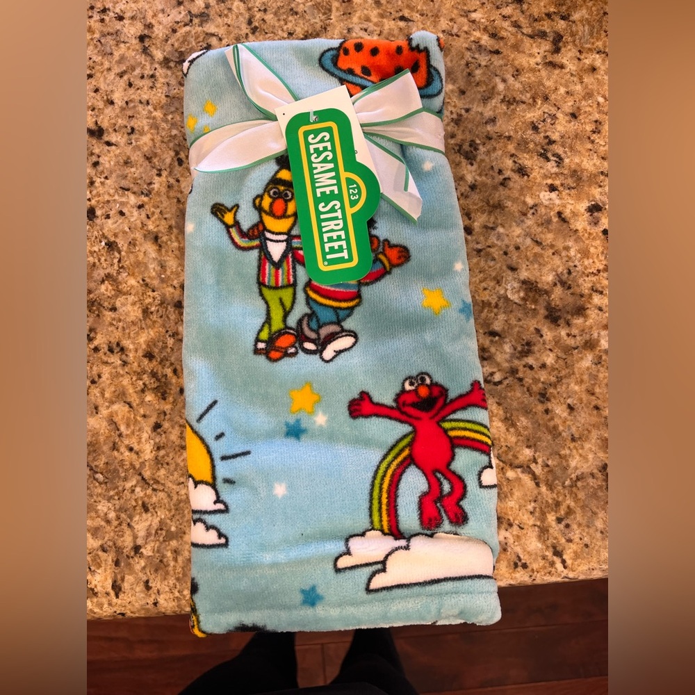 Set of 2 Sesame Street Hand Towels - Blue and Yellow